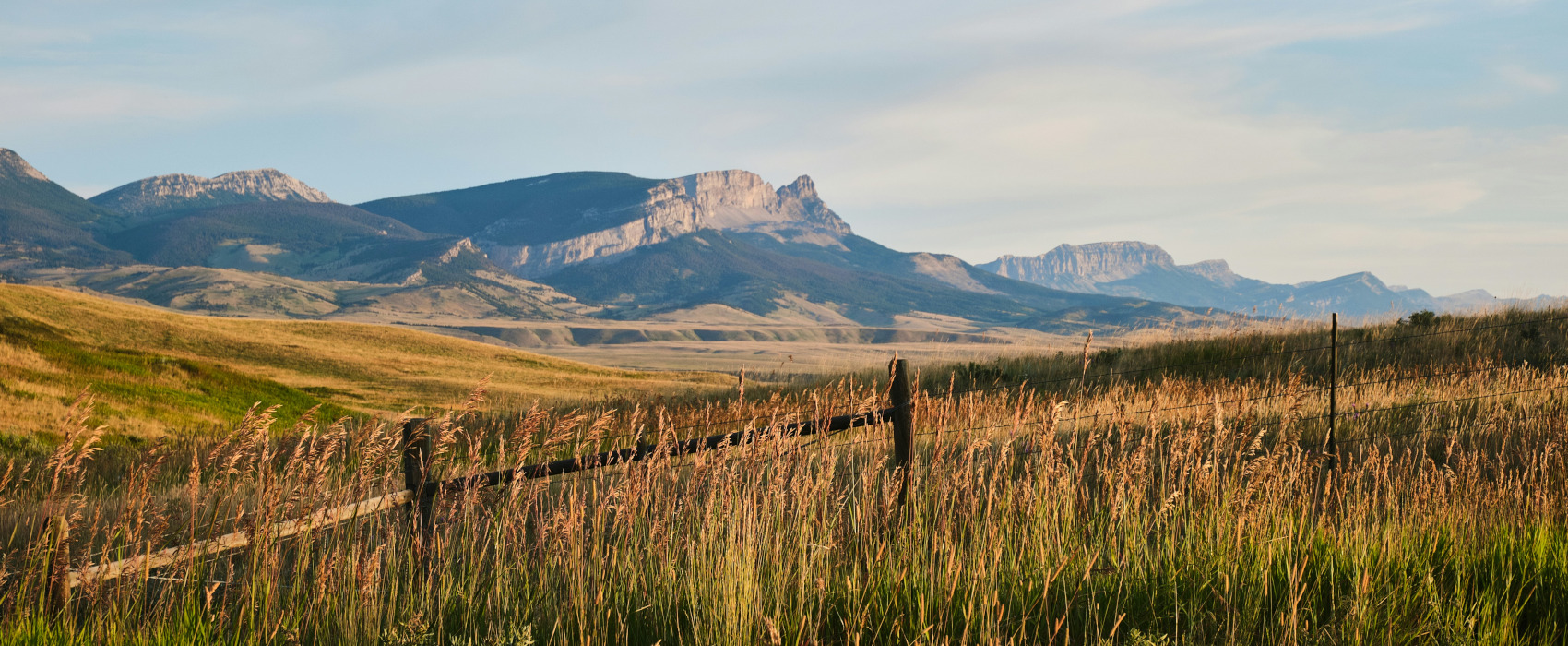 Michael Bourgault Wv1gnxqelfk Unsplash 1700x700