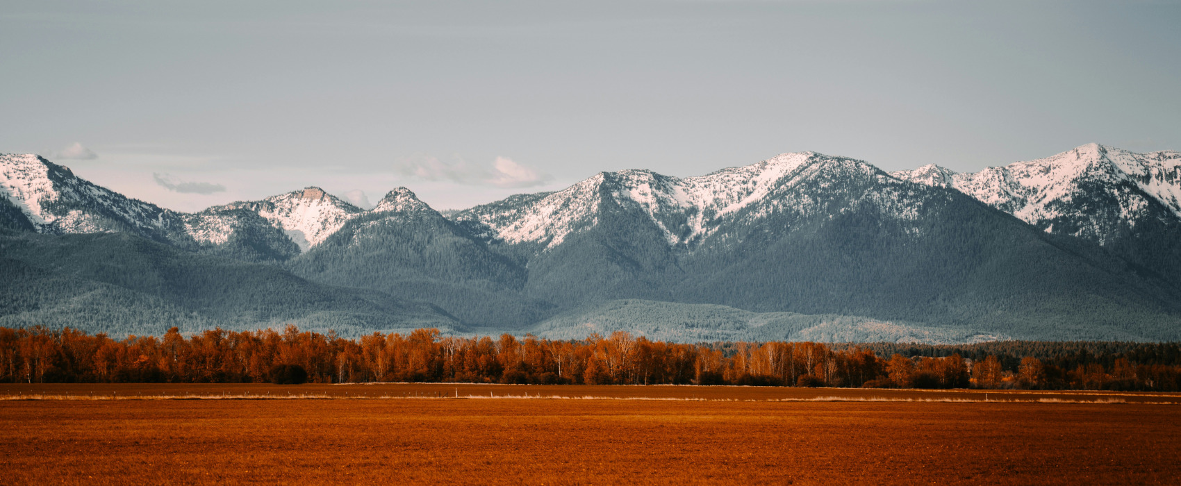 Nick Gardner Mbfdzwd5cz8 Unsplash 1700x700